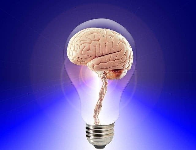 brain-20424_640 brain-20424_640