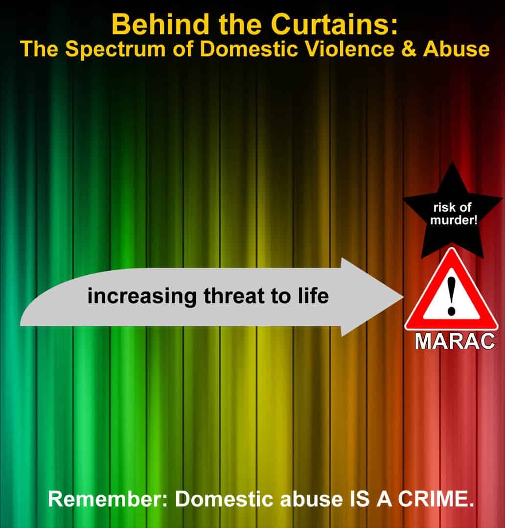 The spectrum of domestic violence
