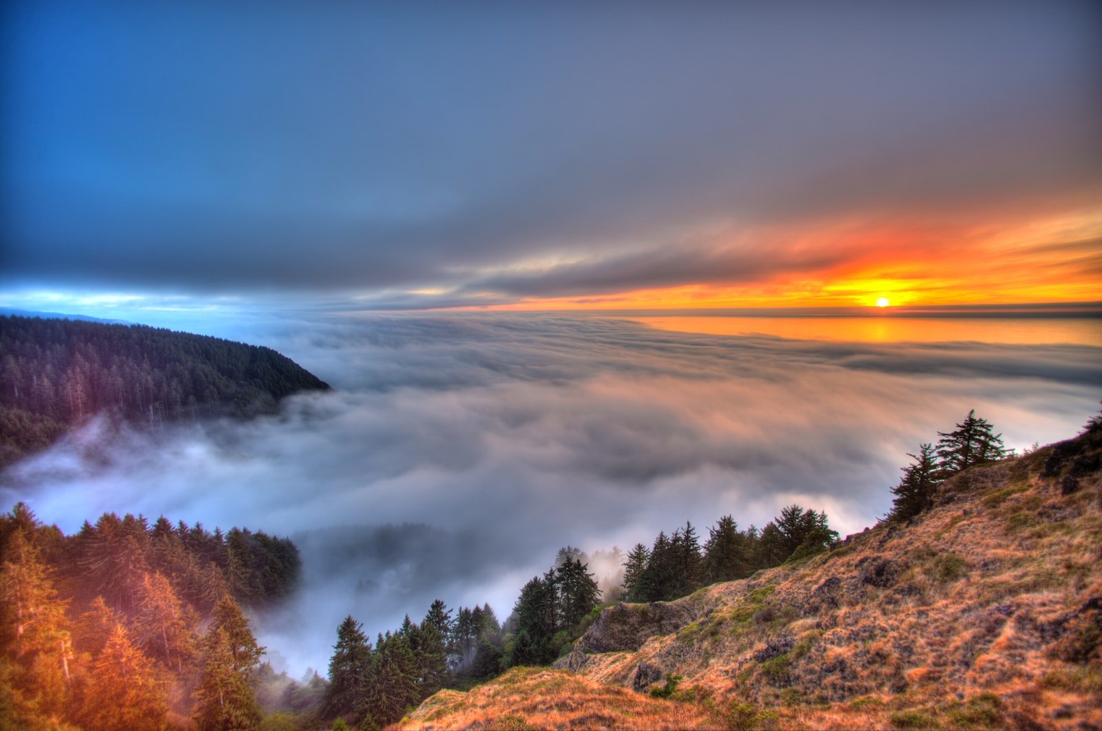 green trees on mountain under cloudy sky during daytime